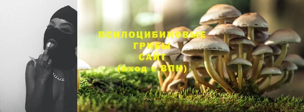 MDMA Бородино