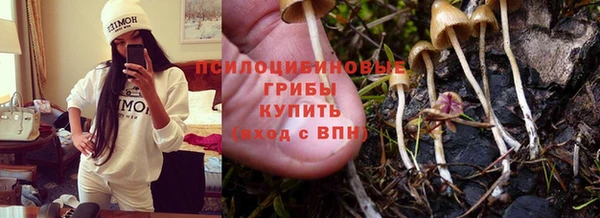 гашик Богородицк