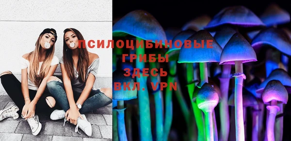 MDMA Бородино