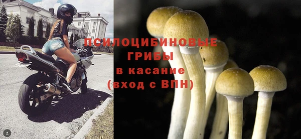 гашик Богородицк
