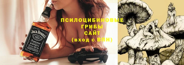 кристаллы Богданович