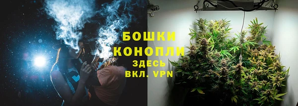 гашик Богородицк