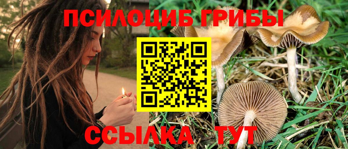 Меф мяу мяу Вязники