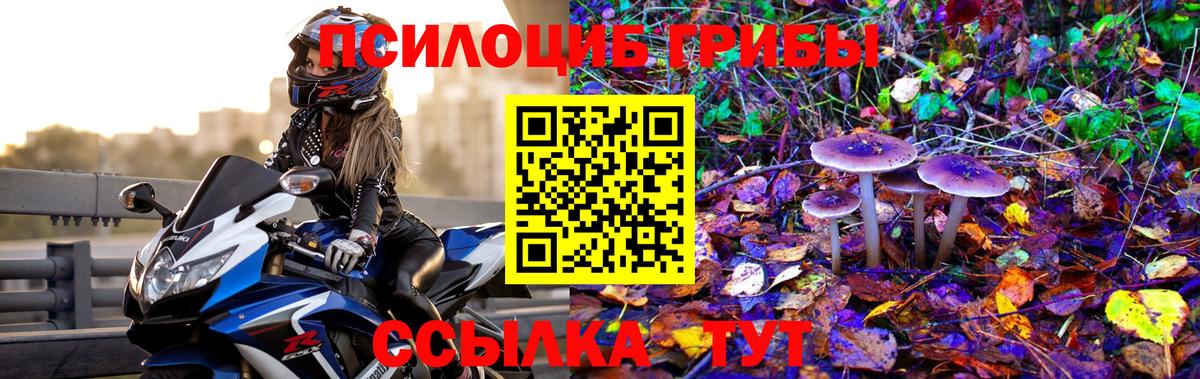 Псилоцибиновые грибы Magic Shrooms  Псилоцибиновые грибы GOLDEN TEACHER  Вязники 