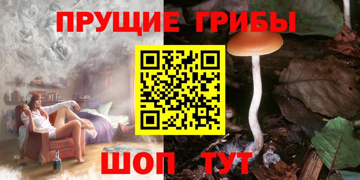 Вязники  Галлюциногенные грибы прущие грибы  Вход с VPN 